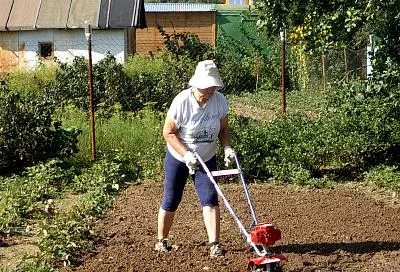 На Кубани принят закон в поддержку дачников