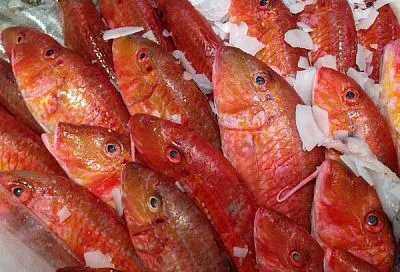 И нежданным гостям всегда рада, потому что в морозилке всегда есть морской окунь - шикарный ужин будет готов за полчаса