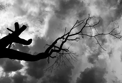 «Супертёплая» погода бьёт рекорды: Россия переживает аномальное потепление