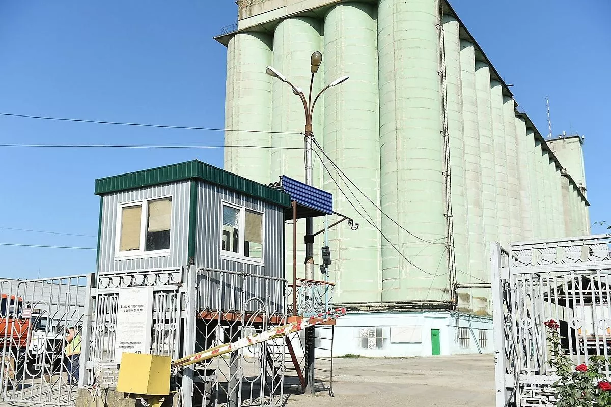 Краснодарский элеватор