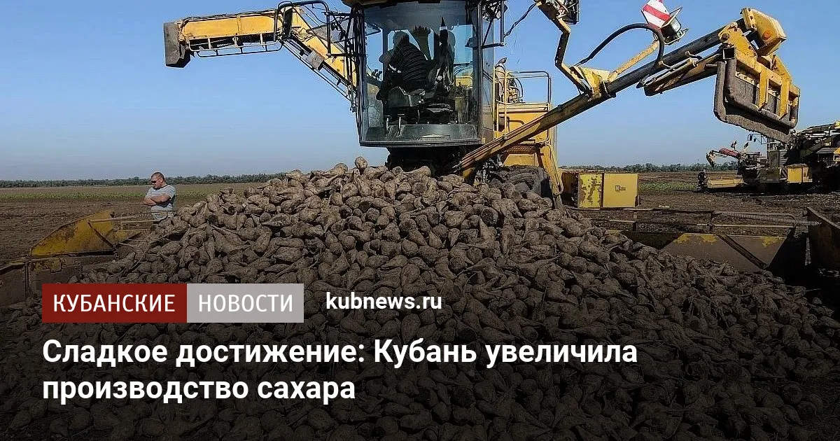 Сладкое достижение: Кубань увеличила производство сахара