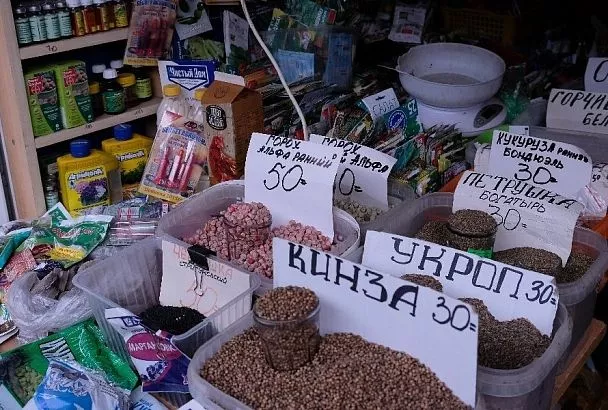 3 способа протравить семена перед посевом на рассаду: будут как новенькие, совсем здоровенькие 