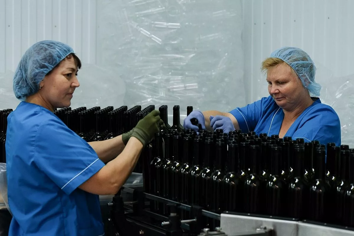 ЗАО «Славпром» - современное виноградарское и винодельческое предприятие