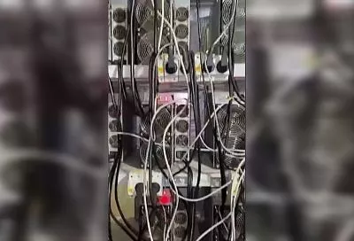 Ущерб на 3,3 млн: суд накажет кубанского майнера за самовольное подключение к сети