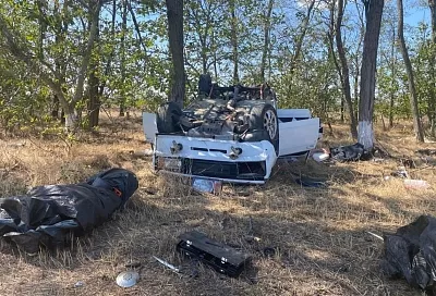 В ДТП на трассе в Ейском районе погибла девушка