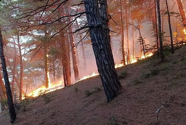 Самолет-амфибия привлечен к тушению лесного пожара в Геленджике