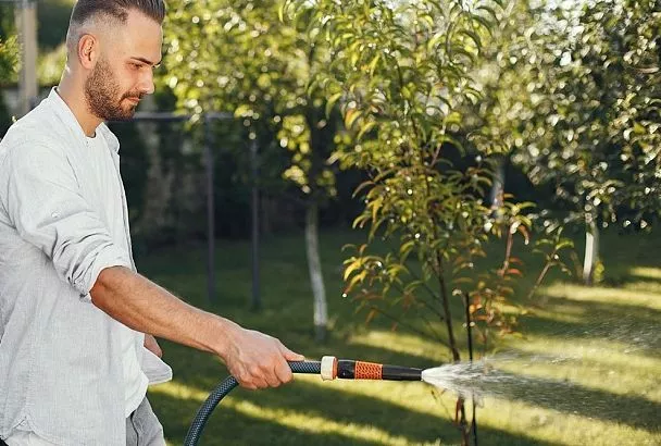 Как полить деревья в августе для урожая ведрами: пошаговое руководство