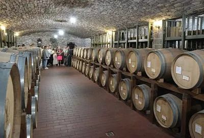 Вениамин Кондратьев: «В Краснодарском крае для туристов доступны 35 виноделен»