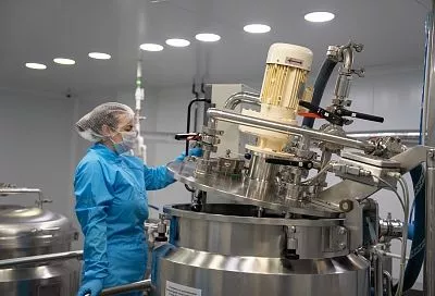 От стартапа до экспорта: как господдержка помогает развиваться кубанскому бизнесу