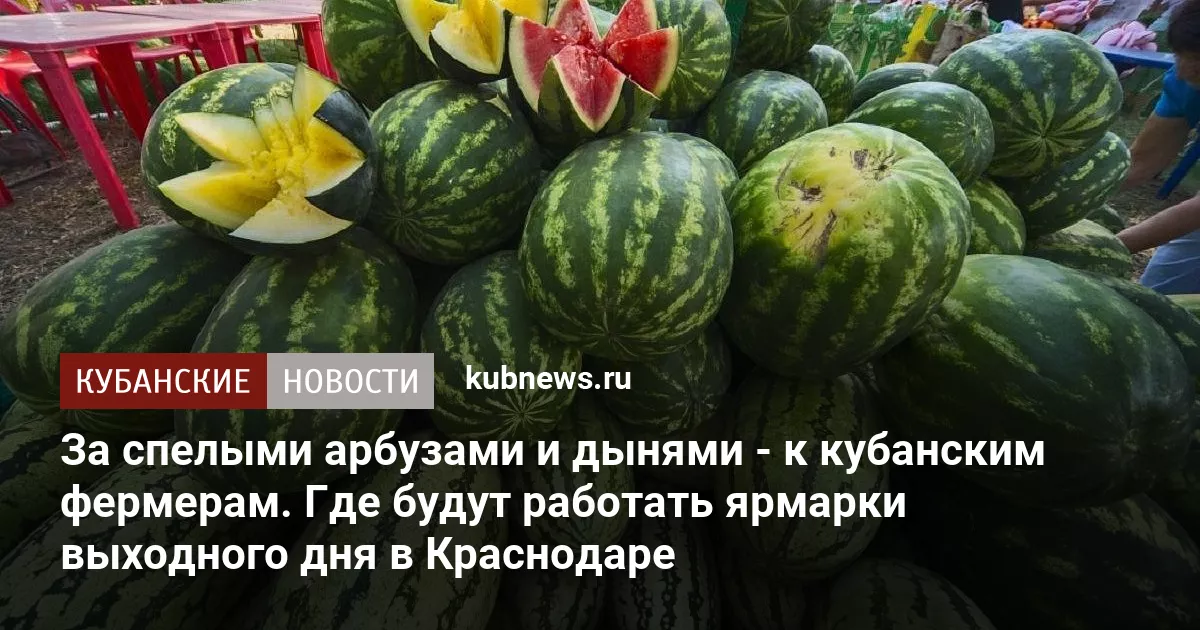 За спелыми арбузами и дынями - к кубанским фермерам. Где будут работать ярмарки выходного дня в Краснодаре