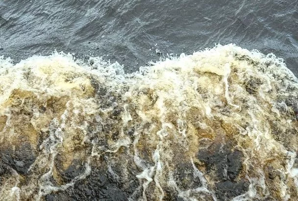 Уровень воды в реке Пшиш поднялся в Белореченском районе 