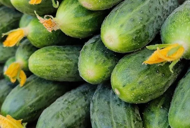 Бросил семена огурцов в лунку с таким гелем, и сижу отдыхаю, пока они растут, вот о чём давно мечтал