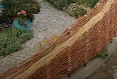 Сделайте забор из лозы за 4 шага: 5 причин, почему такое ограждение будет лучше, чем бетон