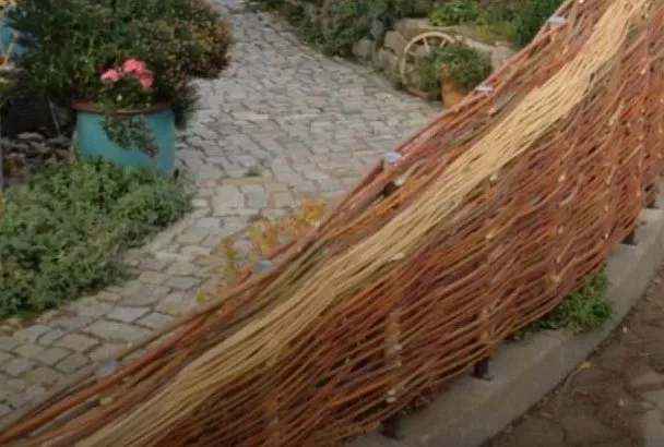 Сделайте забор из лозы за 4 шага: 5 причин, почему такое ограждение будет лучше, чем бетон