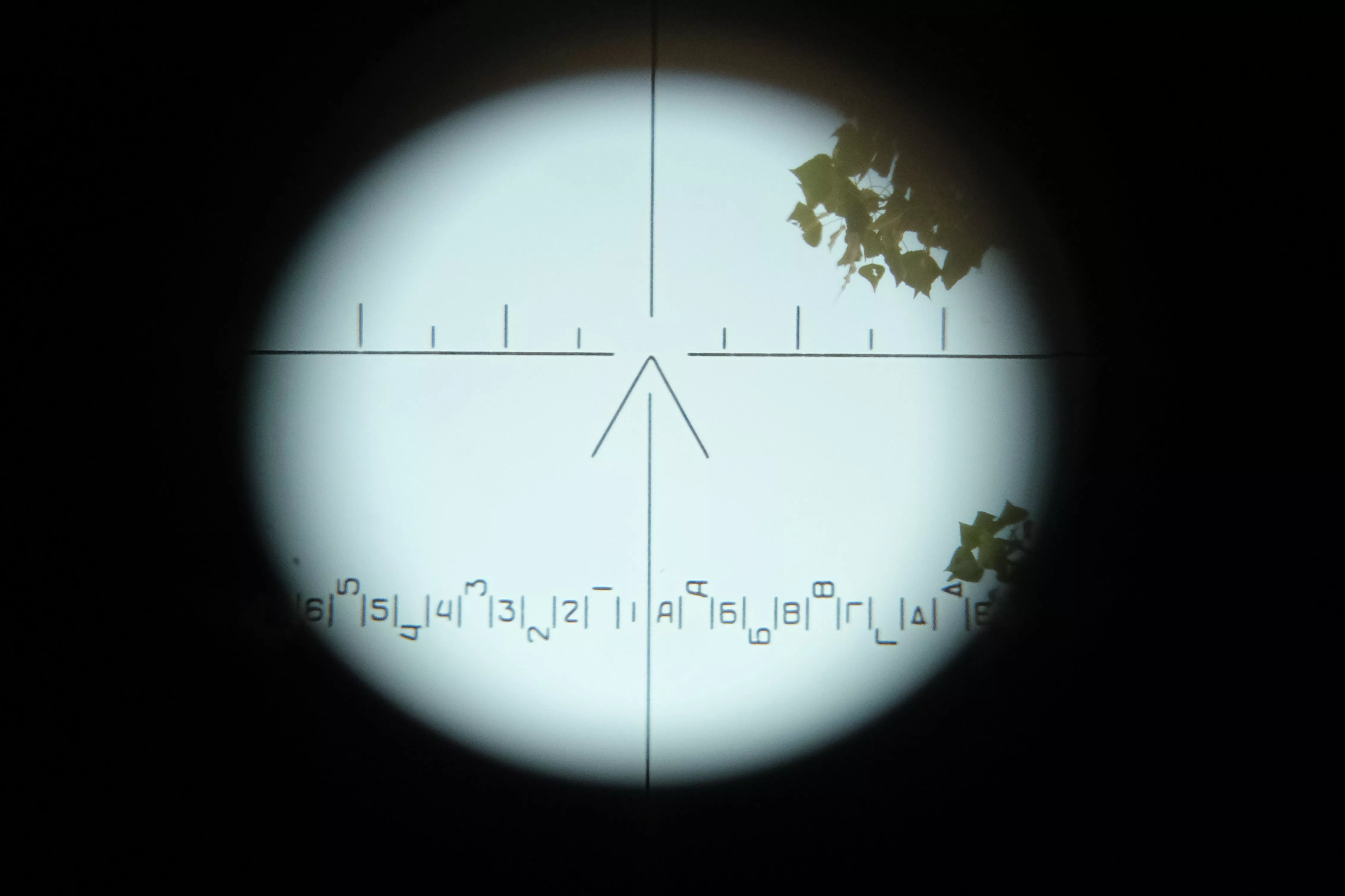 Российские войска освободили Первое Мая в ДНР