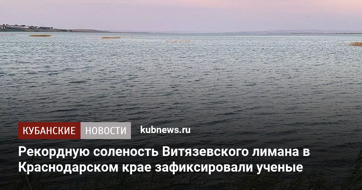 Рекордную соленость Витязевского лимана в Краснодарском крае зафиксировали ученые