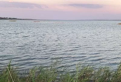 Рекордную соленость Витязевского лимана в Краснодарском крае зафиксировали ученые