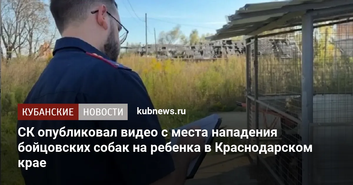СК опубликовал видео с места нападения бойцовских собак на ребенка в Краснодарском крае