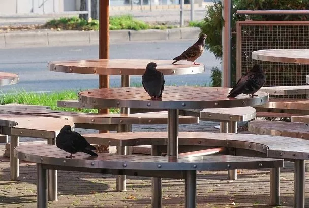 Краснодар вошел в топ-5 городов по росту количества заведений со столиками на улице