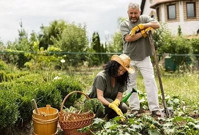 Будьте готовы: что угрожает безмятежной жизни дачников в мае?