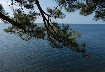 Какая температура Черного моря на пляжах в Краснодарском крае