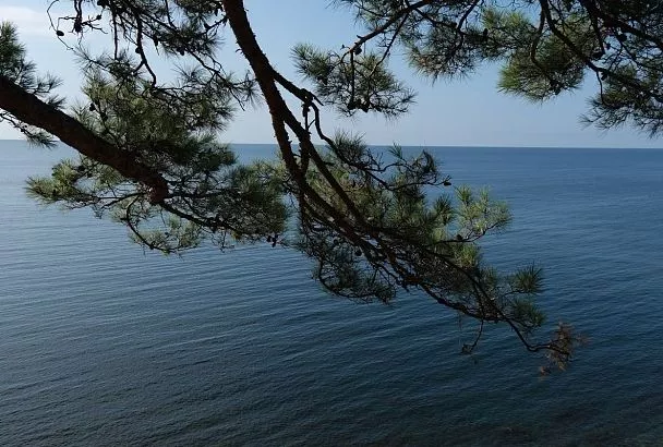 Какая температура Черного моря на пляжах в Краснодарском крае