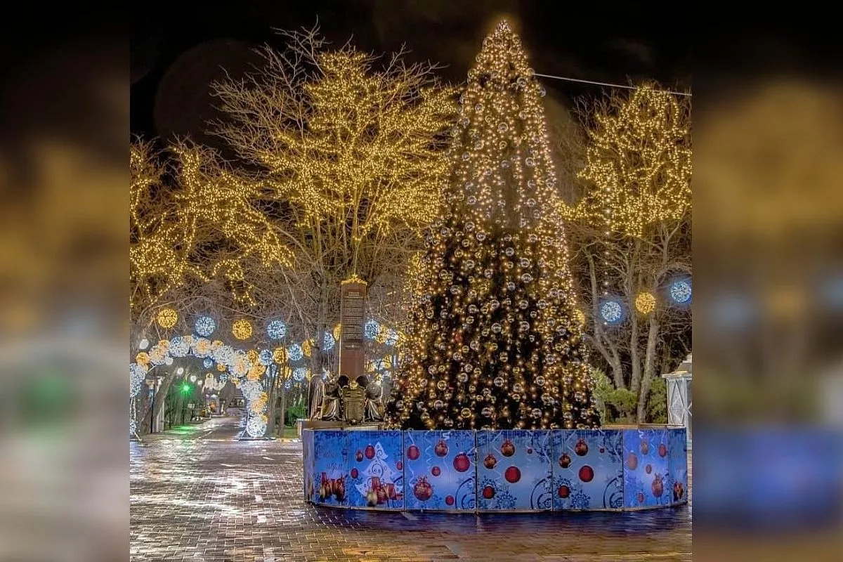 Елки в Новороссиске Елки в Новороссиске