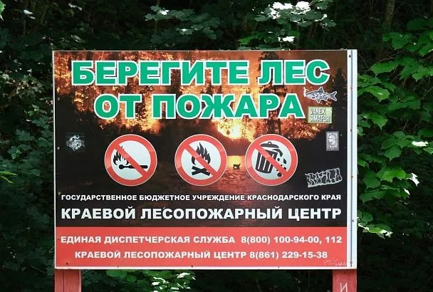 Лесной пожар под Туапсе потушен на площади 1,9 га