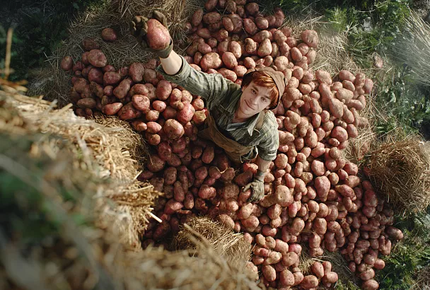 Картошка, которая выросла в 27 раз больше посаженного