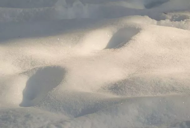 Какая высота снега в горах под Сочи