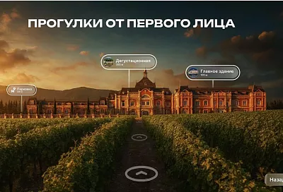 В Краснодарском крае создают интерактивную платформу для энотуристов