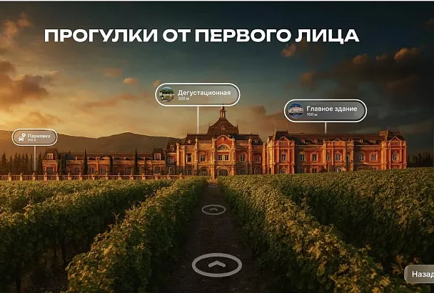 В Краснодарском крае создают интерактивную платформу для энотуристов