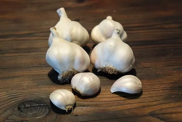 Чесночная шелуха – панацея: мой урожай сохраняется на 100 процентов, а деревья не болеют