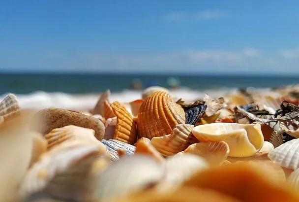 Какая температура воды в Черном и Азовском морях у берегов Краснодарского края