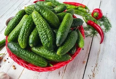 Почему плохо растут огурцы: 7 ошибок на грядке и как я спас урожай по совету Кизимы — теперь плети радуют, а огурцы целыми ваннами