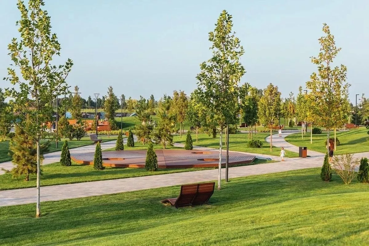 ГК ТОЧНО, Николай Амосов