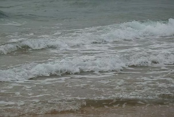 Российские ученые предложили очищать воду от нефтепродуктов с помощью бактерий