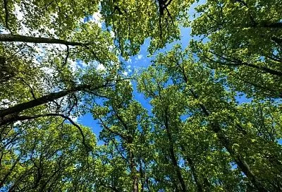 Беспилотную опасность объявили в Краснодарском крае