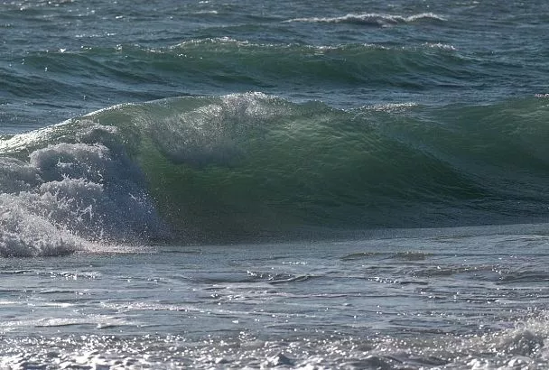 Ученый рассказал, как холодная зима и шторма отразились на экосистеме Черного моря