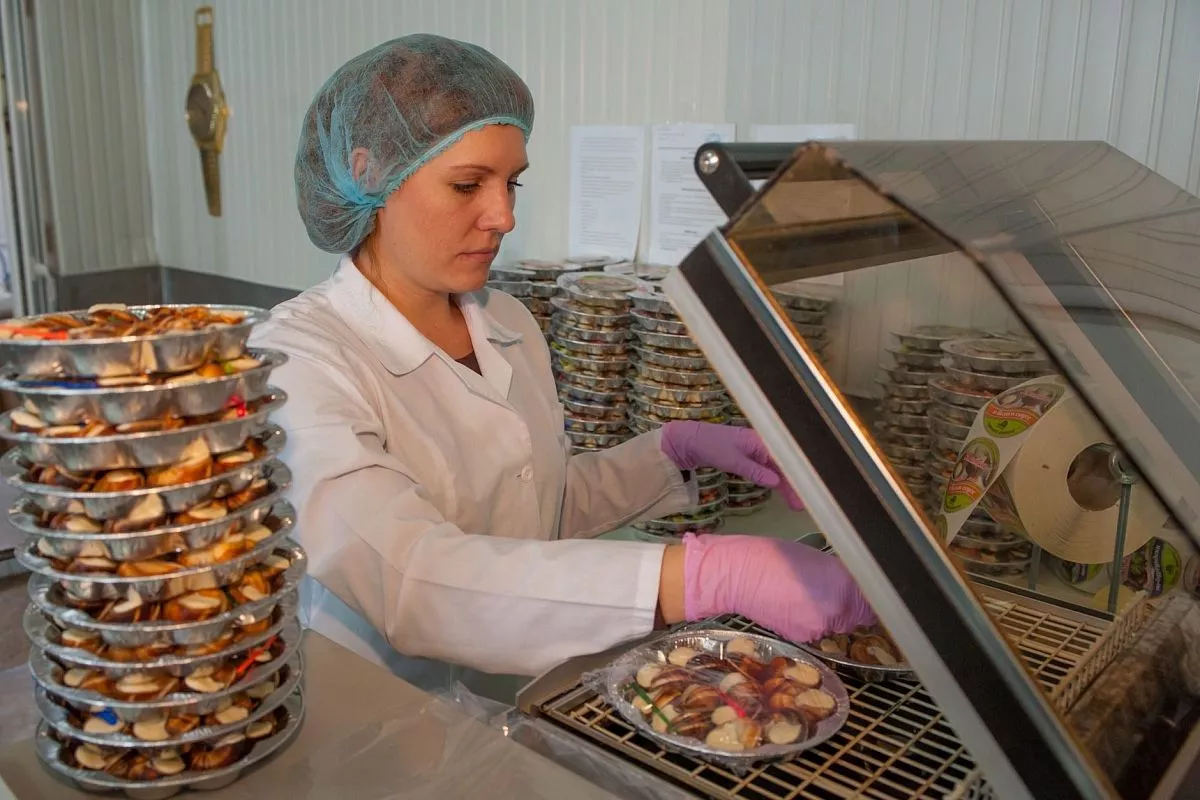 Виноградные улитки, приморско-ахтарск, деликатесы