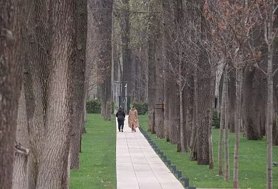 Стало известно, когда похолодание в Краснодарском крае достигнет пика