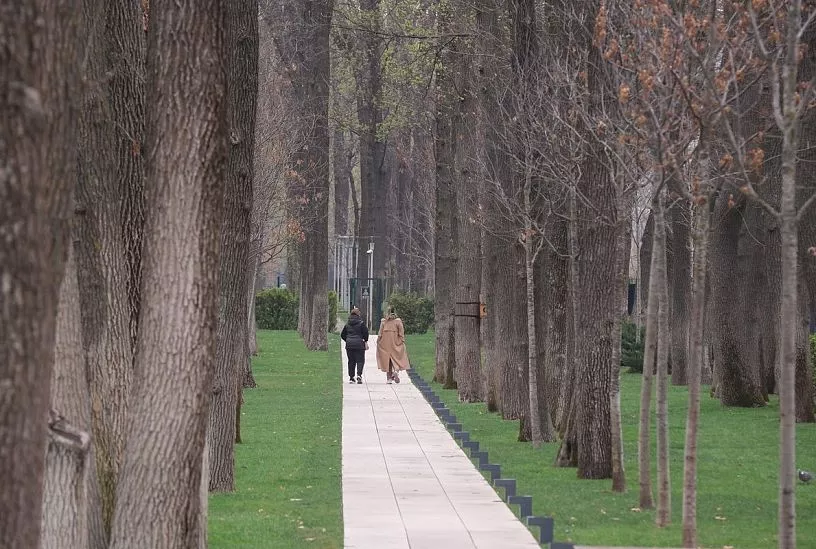 Стало известно, когда похолодание в Краснодарском крае достигнет пика