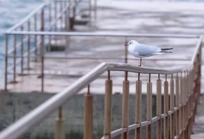 Города Краснодарского края вошли в топ-10 популярных направлений для отдыха весной