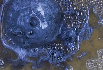 Ученые зафиксировали рекордную активность бактерий, очищающих Черное море от мазута