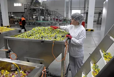 В Краснодарском крае за пять лет экспорт кондитерских изделий вырос в четыре раза