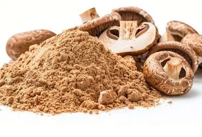 Сушу грибы в электросушилке — и в порошок: ароматная приправа вместо бульонных кубиков