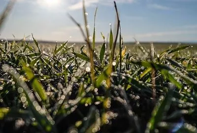 Две особо охраняемые природные территории создали в Краснодарском крае