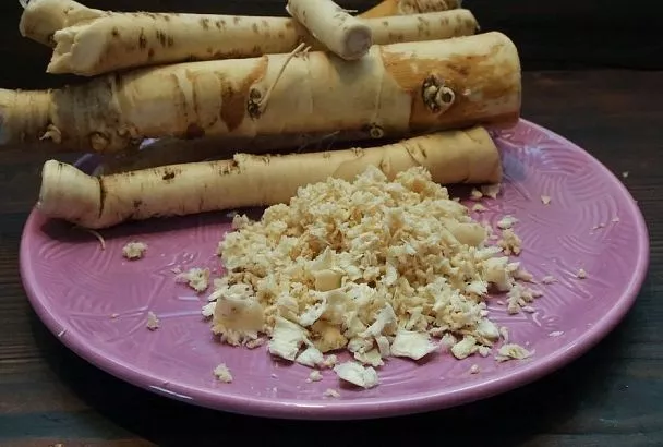 И защитник, и огородный доктор: в чем польза хрена на огороде