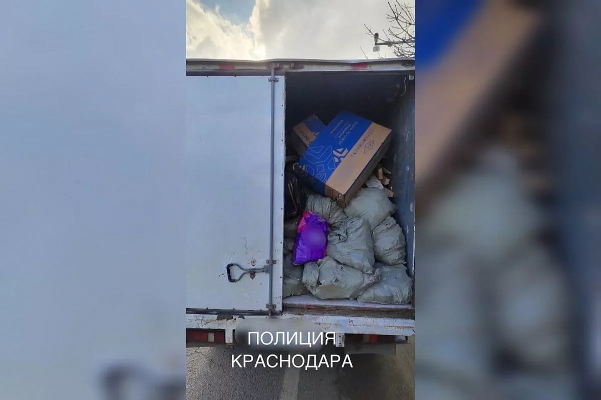 Полицейские поймали «серого мусорщика» на улице Тургенева в Краснодаре