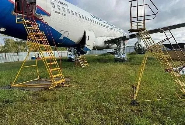 Посадивший в поле самолет рейса Сочи - Омск пилот согласился с решением суда